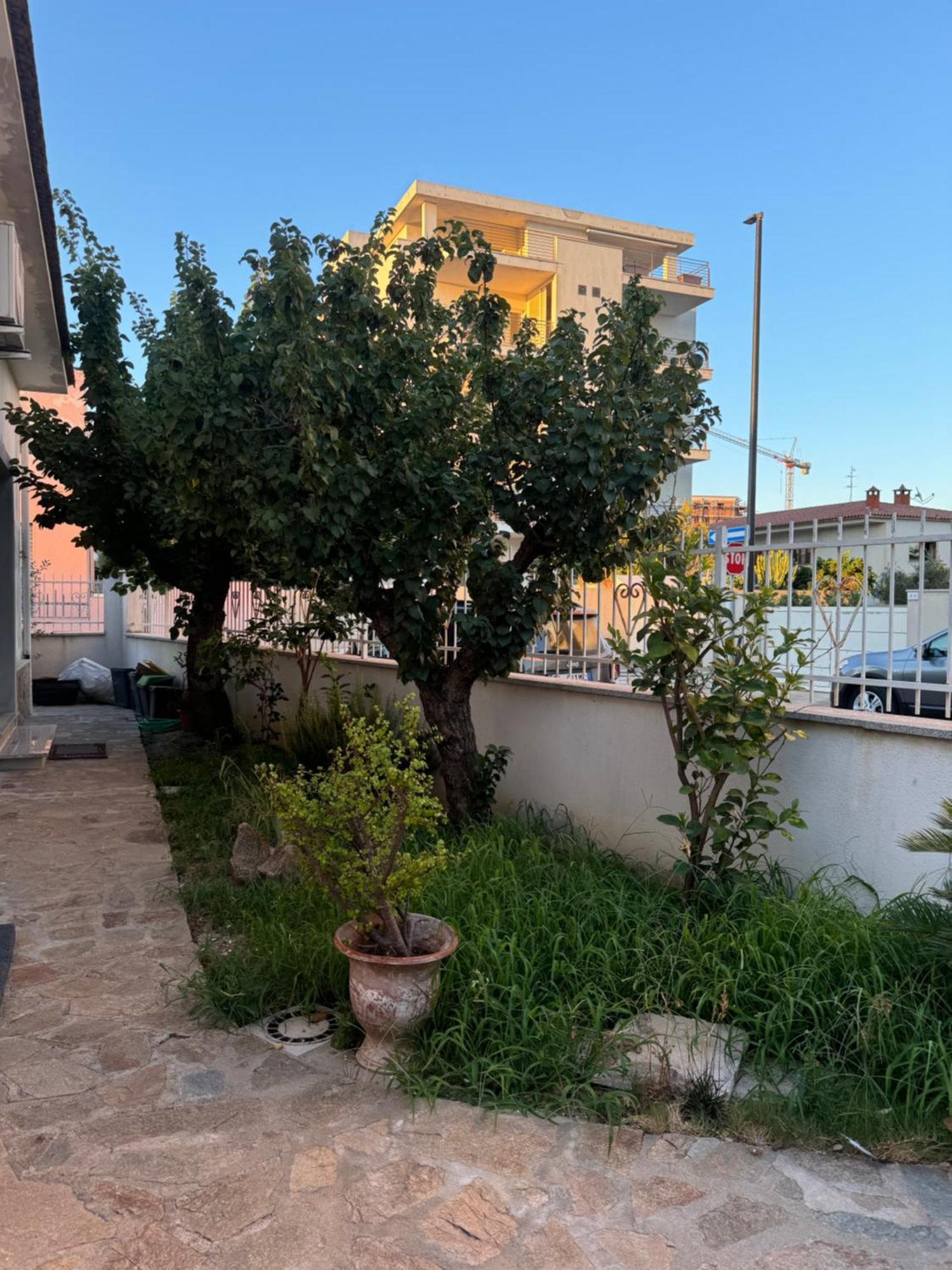 Apartment Da Gio Olbia